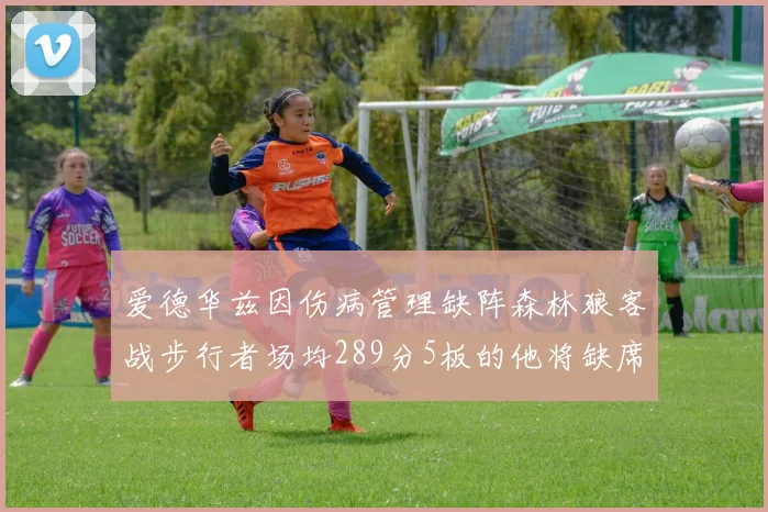 爱德华兹因伤病管理缺阵森林狼客战步行者场均289分5板的他将缺席比赛